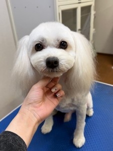 252c4d89-6189-4de5-9542-fe3e95604e85