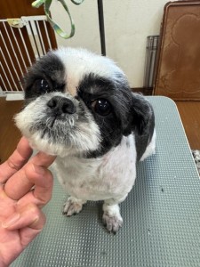 252c4d89-6189-4de5-9542-fe3e95604e85