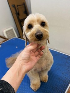 252c4d89-6189-4de5-9542-fe3e95604e85