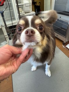 252c4d89-6189-4de5-9542-fe3e95604e85