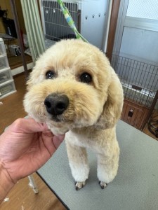 252c4d89-6189-4de5-9542-fe3e95604e85