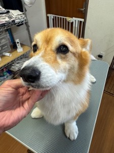 3597a302-2bac-4c94-9809-0210078c4857