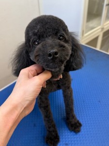 3597a302-2bac-4c94-9809-0210078c4857