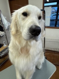 3597a302-2bac-4c94-9809-0210078c4857