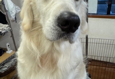 3597a302-2bac-4c94-9809-0210078c4857