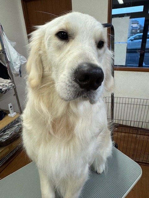 3597a302-2bac-4c94-9809-0210078c4857