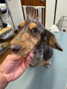 3597a302-2bac-4c94-9809-0210078c4857