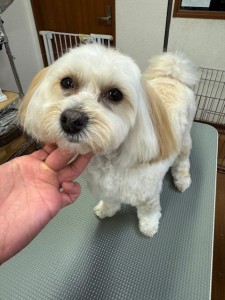 3597a302-2bac-4c94-9809-0210078c4857