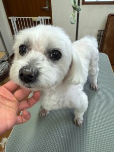 3597a302-2bac-4c94-9809-0210078c4857