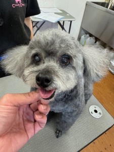 3597a302-2bac-4c94-9809-0210078c4857