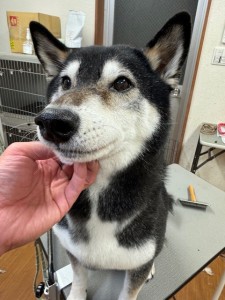 3597a302-2bac-4c94-9809-0210078c4857