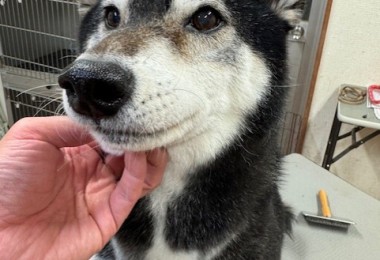 3597a302-2bac-4c94-9809-0210078c4857