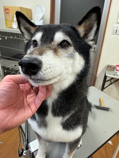 3597a302-2bac-4c94-9809-0210078c4857