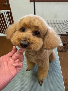 3597a302-2bac-4c94-9809-0210078c4857