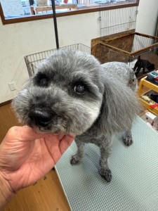 4d1254de-e6f6-46b3-9e82-99ec2c1198aa