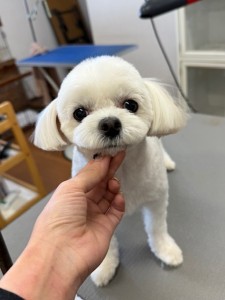 4d1254de-e6f6-46b3-9e82-99ec2c1198aa