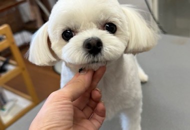 4d1254de-e6f6-46b3-9e82-99ec2c1198aa