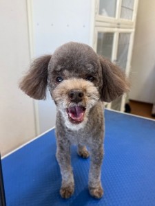 4d1254de-e6f6-46b3-9e82-99ec2c1198aa