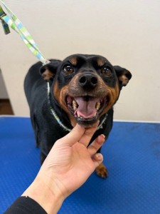 4d1254de-e6f6-46b3-9e82-99ec2c1198aa