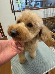 4d1254de-e6f6-46b3-9e82-99ec2c1198aa