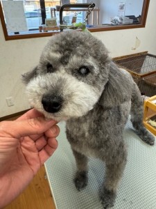 4d1254de-e6f6-46b3-9e82-99ec2c1198aa