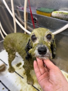 4d1254de-e6f6-46b3-9e82-99ec2c1198aa