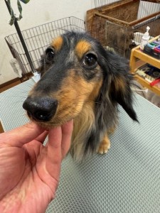 4d1254de-e6f6-46b3-9e82-99ec2c1198aa