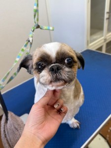 4d1254de-e6f6-46b3-9e82-99ec2c1198aa