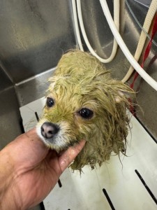 4d1254de-e6f6-46b3-9e82-99ec2c1198aa