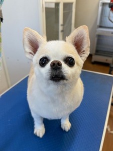 4d1254de-e6f6-46b3-9e82-99ec2c1198aa