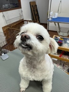 4d1254de-e6f6-46b3-9e82-99ec2c1198aa