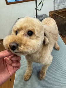 4d1254de-e6f6-46b3-9e82-99ec2c1198aa