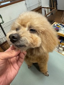 4d1254de-e6f6-46b3-9e82-99ec2c1198aa