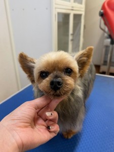 4d1254de-e6f6-46b3-9e82-99ec2c1198aa