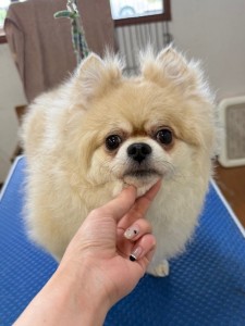 4d1254de-e6f6-46b3-9e82-99ec2c1198aa