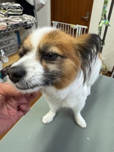 4d1254de-e6f6-46b3-9e82-99ec2c1198aa