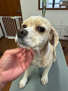 4d1254de-e6f6-46b3-9e82-99ec2c1198aa