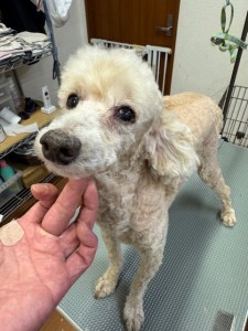 4d1254de-e6f6-46b3-9e82-99ec2c1198aa