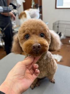 4d1254de-e6f6-46b3-9e82-99ec2c1198aa