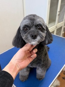 4d1254de-e6f6-46b3-9e82-99ec2c1198aa