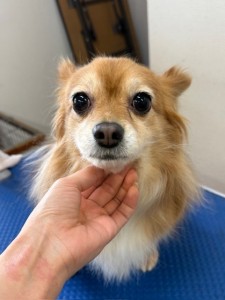 4d1254de-e6f6-46b3-9e82-99ec2c1198aa