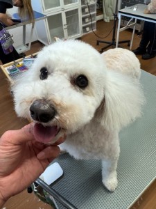 4d1254de-e6f6-46b3-9e82-99ec2c1198aa