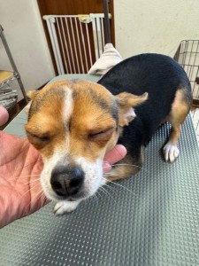 4d9a6697-b832-4a1c-9bb6-6f0bddee874d