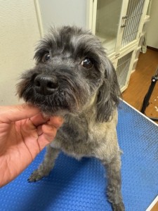 4d9a6697-b832-4a1c-9bb6-6f0bddee874d