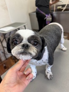 4d9a6697-b832-4a1c-9bb6-6f0bddee874d