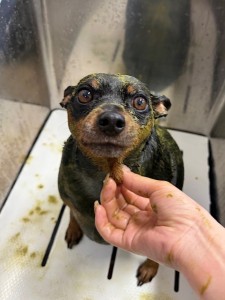 4d9a6697-b832-4a1c-9bb6-6f0bddee874d