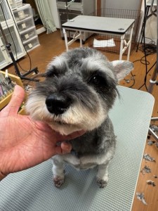 4d9a6697-b832-4a1c-9bb6-6f0bddee874d