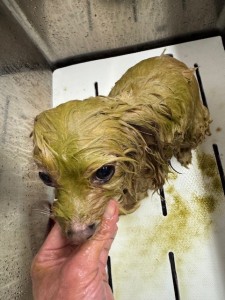 4d9a6697-b832-4a1c-9bb6-6f0bddee874d