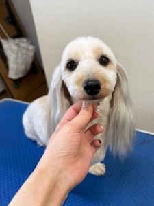 4d9a6697-b832-4a1c-9bb6-6f0bddee874d