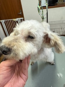 4d9a6697-b832-4a1c-9bb6-6f0bddee874d